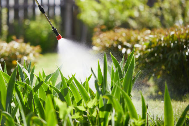 24/7 Emergency Mosquito Control experts in Grant, NE